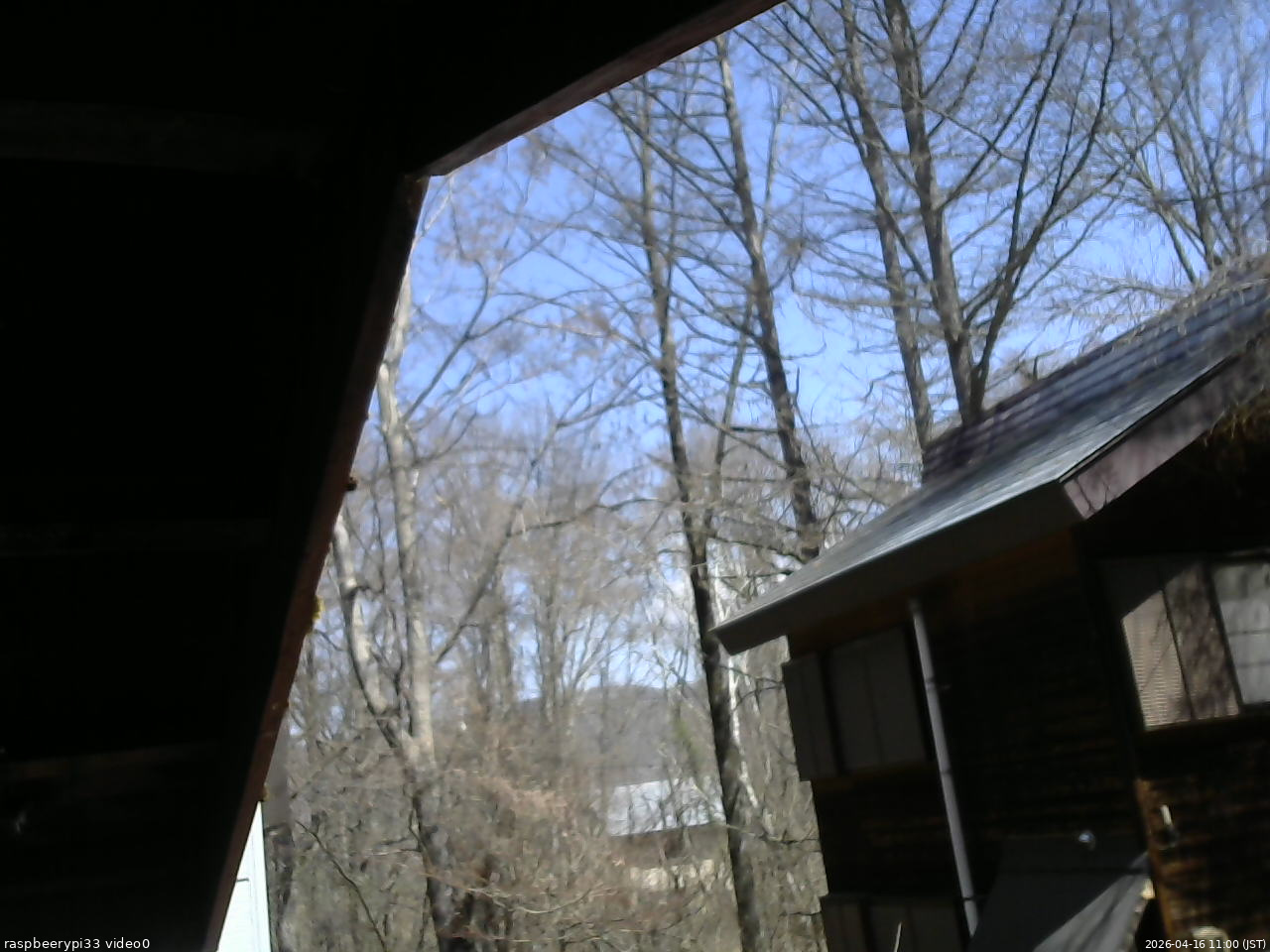 長野県菅平高原 ゆたか山荘 北側 2026/04/16 11:00