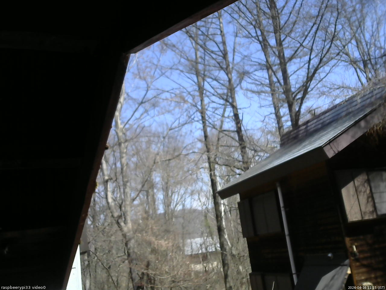 長野県菅平高原 ゆたか山荘 北側 2026/04/16 11:15