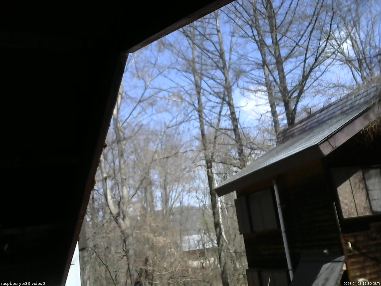 長野県菅平高原 ゆたか山荘 北側 2026/04/16 11:30