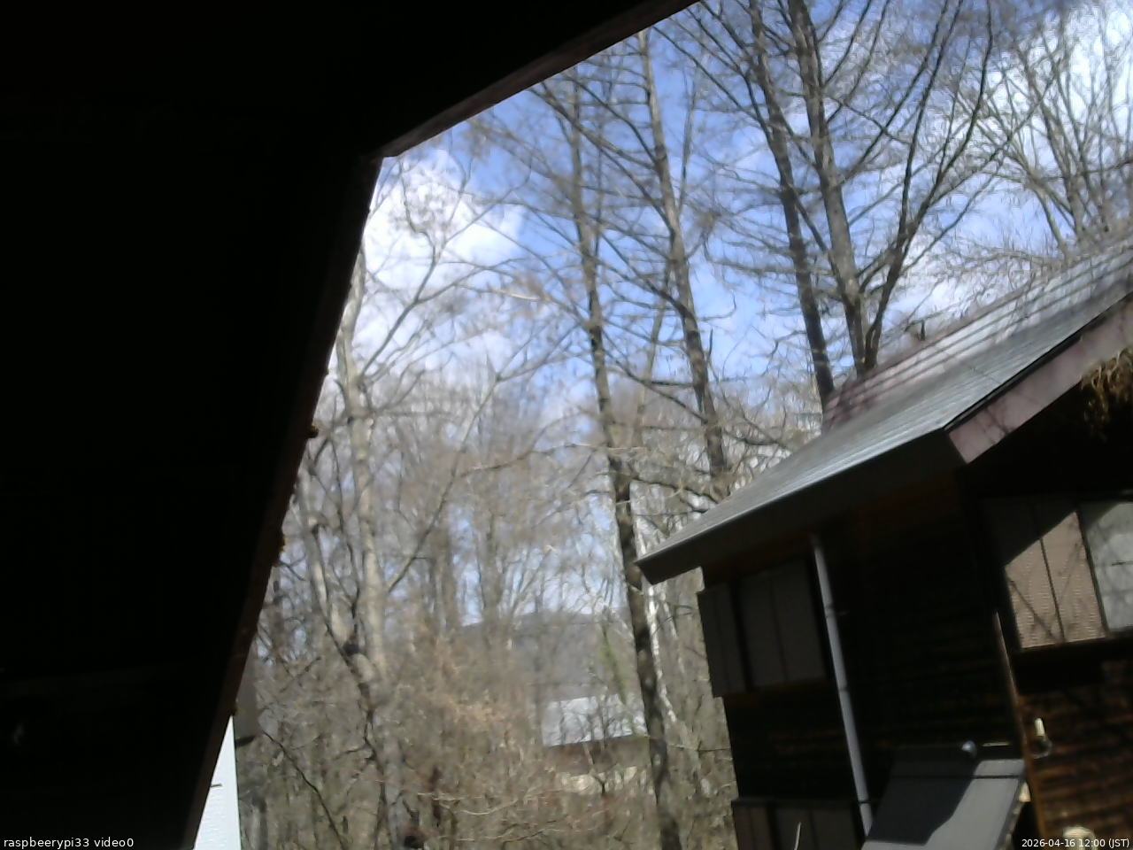 長野県菅平高原 ゆたか山荘 北側 2026/04/16 12:00