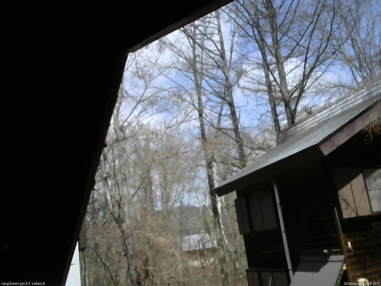 長野県菅平高原 ゆたか山荘 北側 2026/04/16 12:15