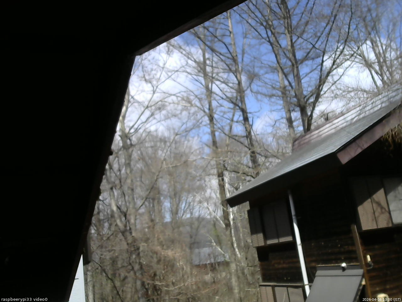 長野県菅平高原 ゆたか山荘 北側 2026/04/16 13:00