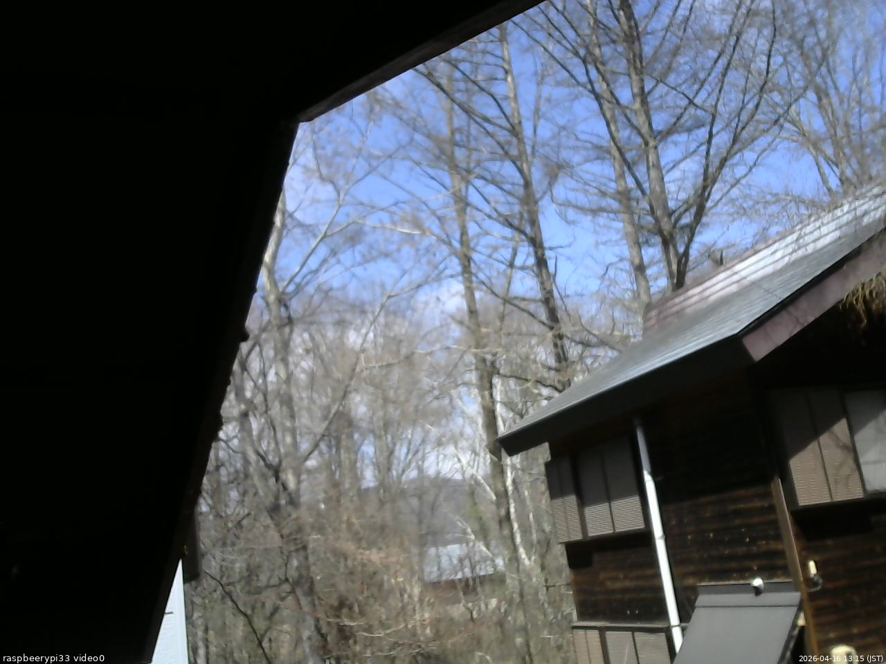 長野県菅平高原 ゆたか山荘 北側 2026/04/16 13:15