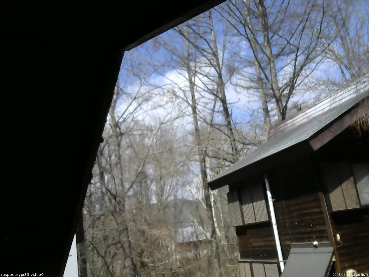 長野県菅平高原 ゆたか山荘 北側 2026/04/16 13:30