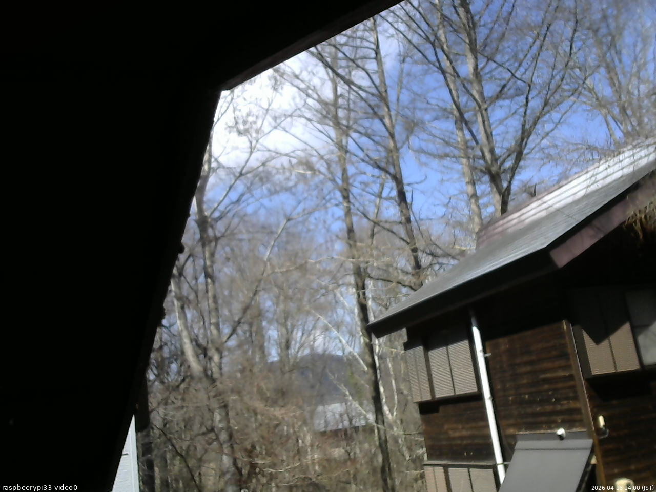 長野県菅平高原 ゆたか山荘 北側 2026/04/16 14:00