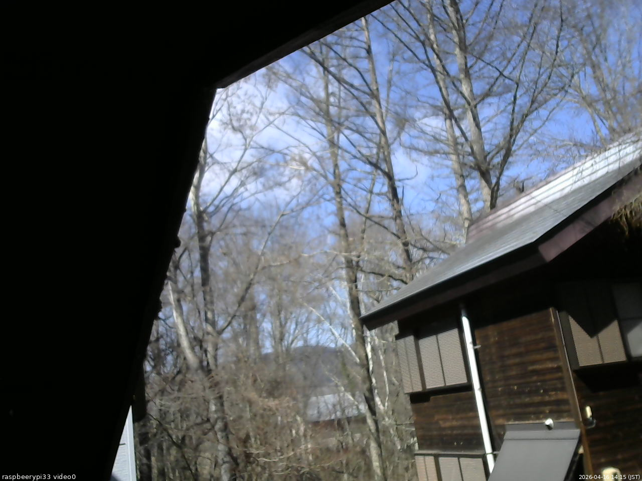 長野県菅平高原 ゆたか山荘 北側 2026/04/16 14:15