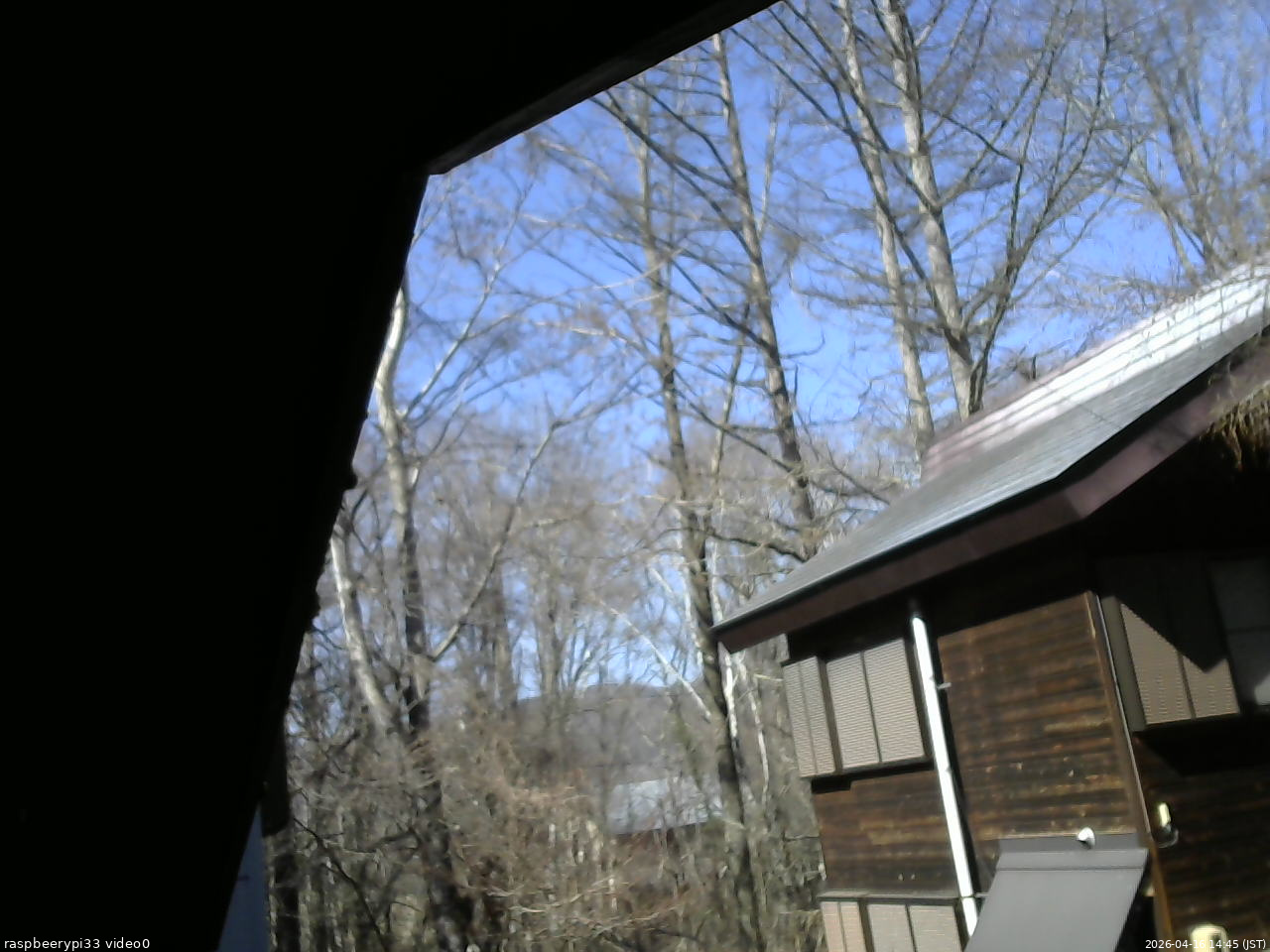 長野県菅平高原 ゆたか山荘 北側 2026/04/16 14:45