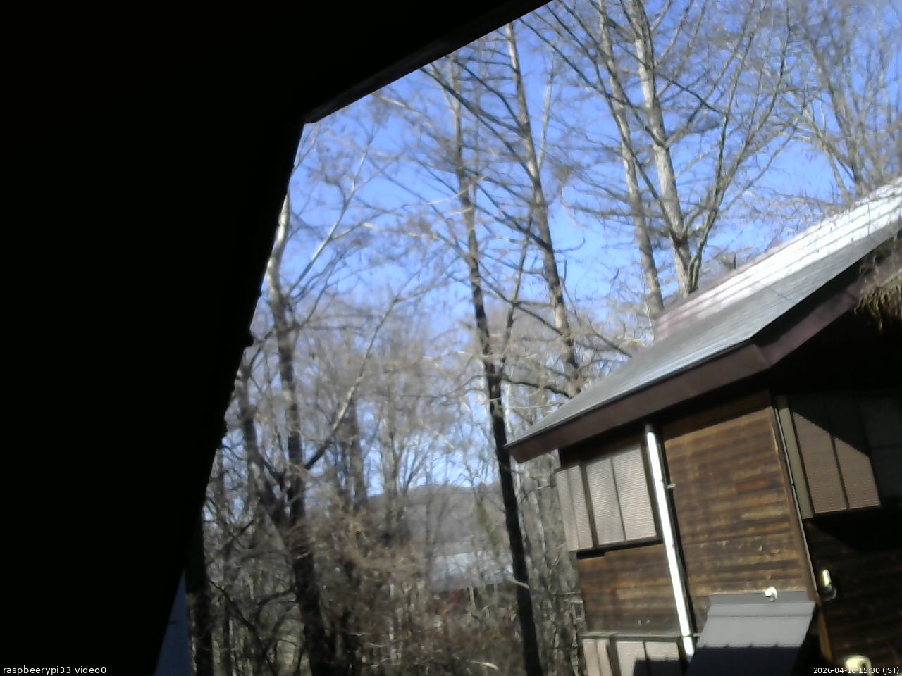 長野県菅平高原 ゆたか山荘 北側 2026/04/16 15:30