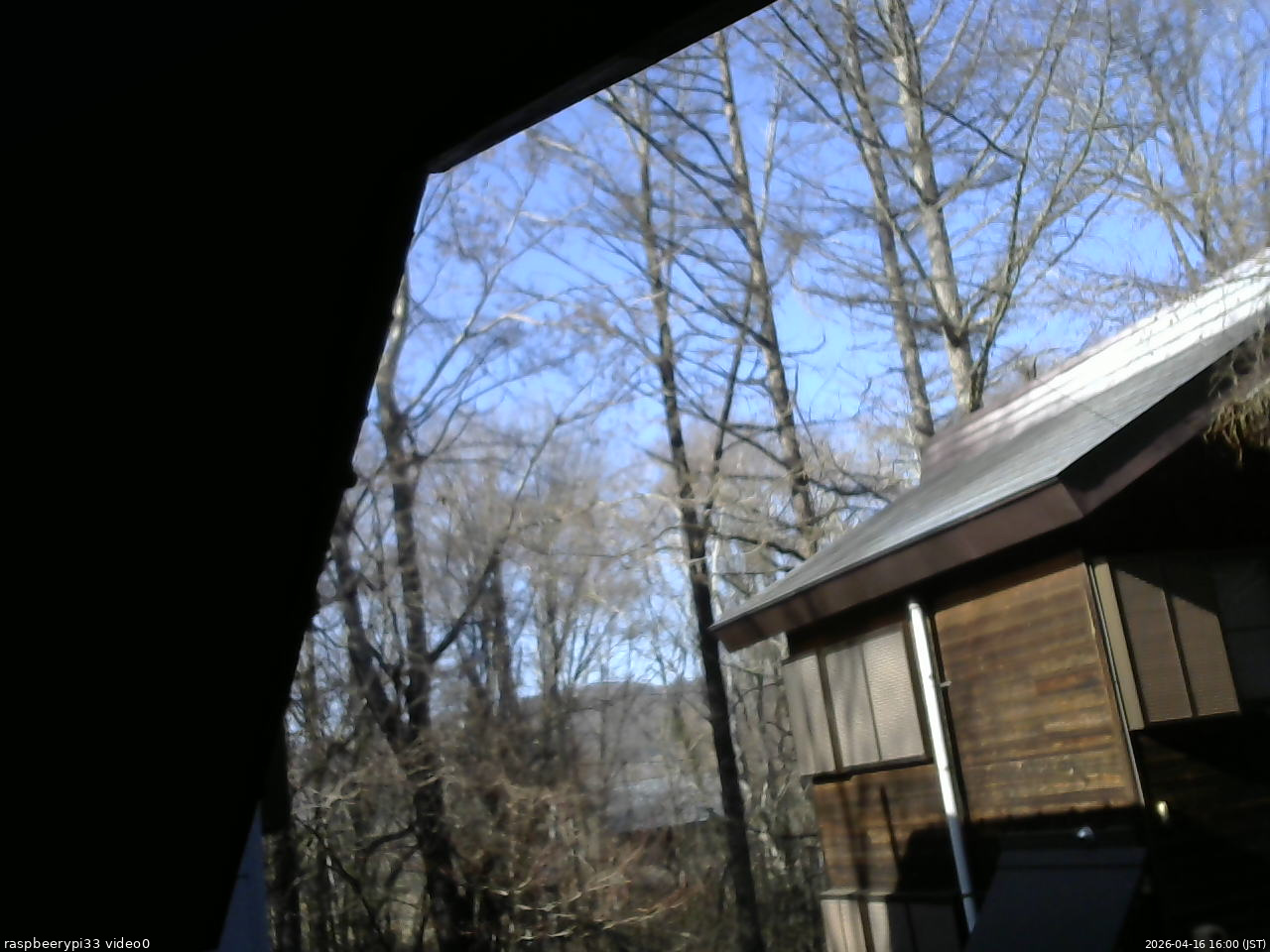 長野県菅平高原 ゆたか山荘 北側 2026/04/16 16:00