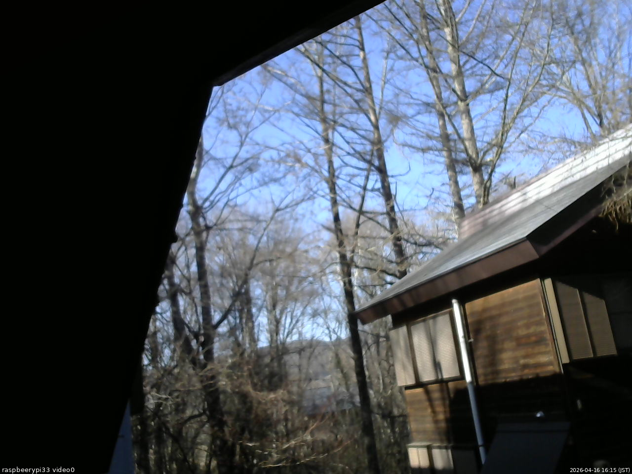 長野県菅平高原 ゆたか山荘 北側 2026/04/16 16:15