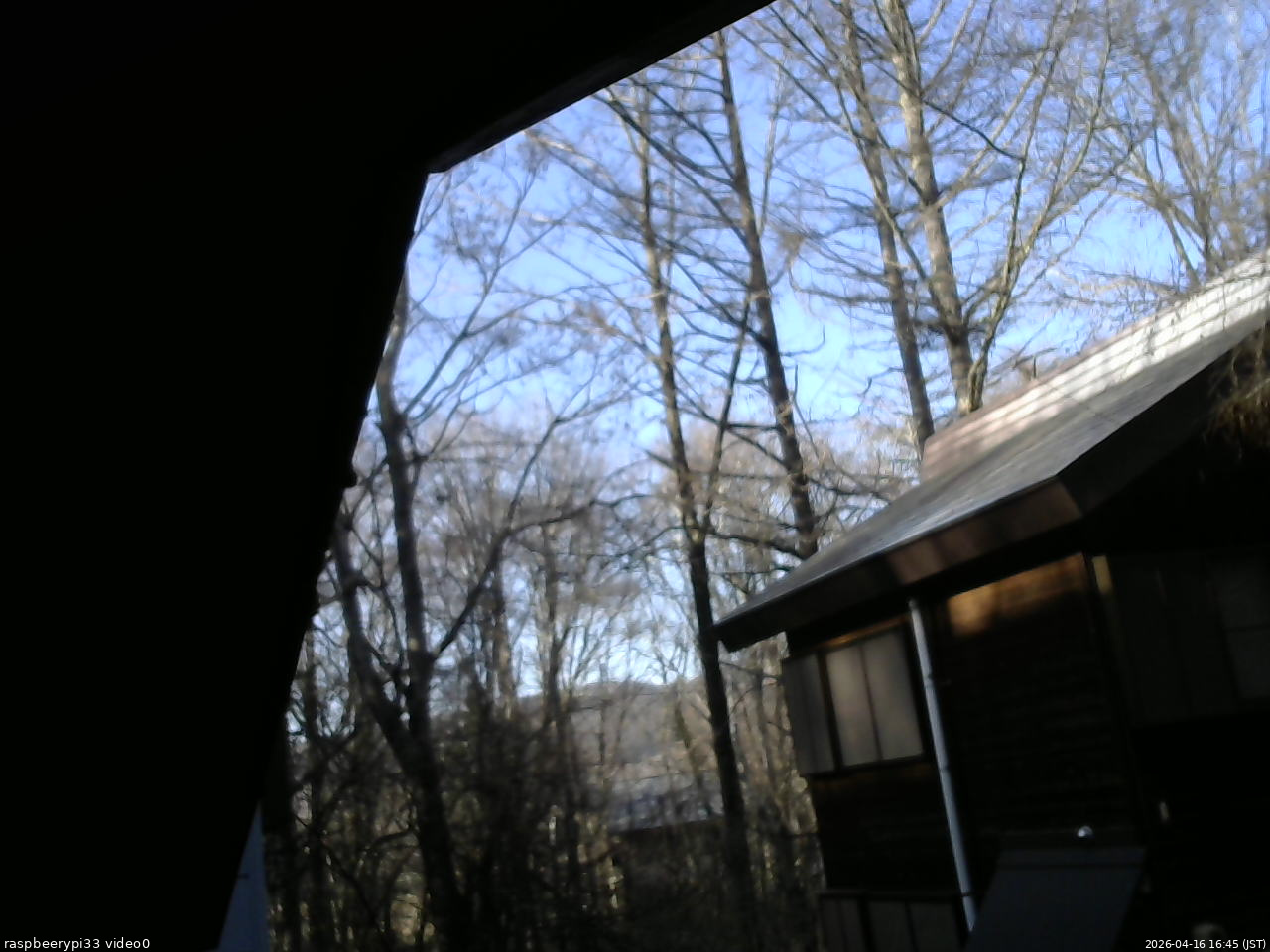 長野県菅平高原 ゆたか山荘 北側 2026/04/16 16:45