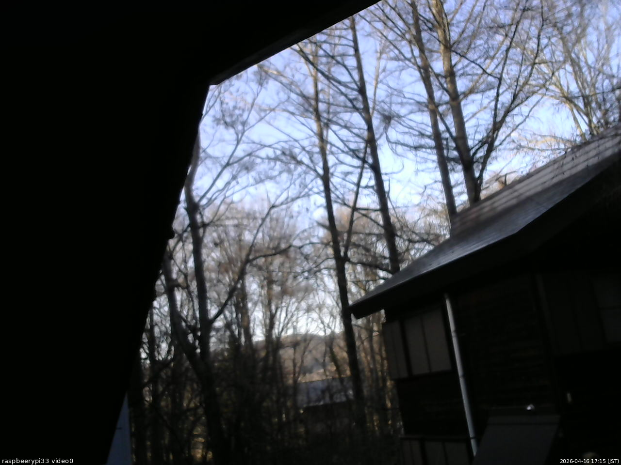 長野県菅平高原 ゆたか山荘 北側 2026/04/16 17:15