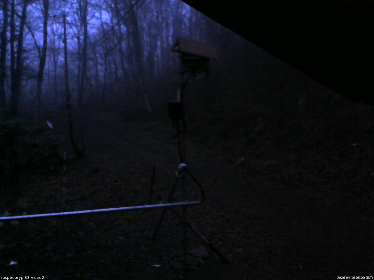 長野県菅平高原 ゆたか山荘 南側 2026/04/16 05:00