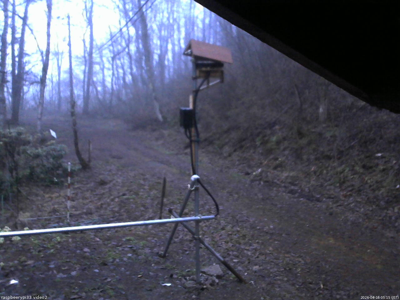 長野県菅平高原 ゆたか山荘 南側 2026/04/16 05:15