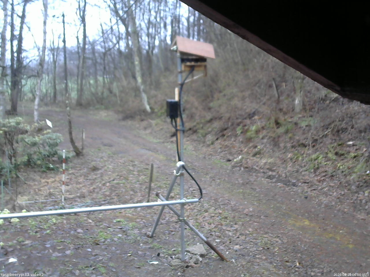 長野県菅平高原 ゆたか山荘 南側 2026/04/16 06:00