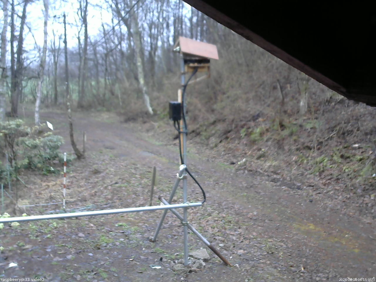 長野県菅平高原 ゆたか山荘 南側 2026/04/16 06:15