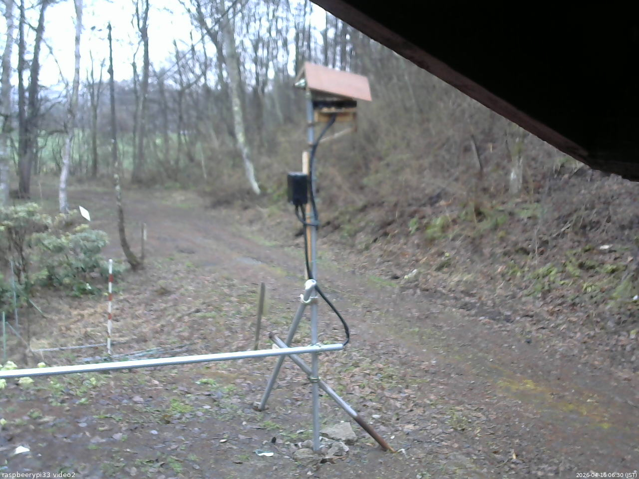 長野県菅平高原 ゆたか山荘 南側 2026/04/16 06:30
