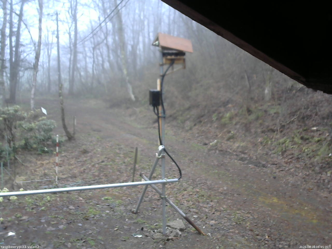 長野県菅平高原 ゆたか山荘 南側 2026/04/16 06:45