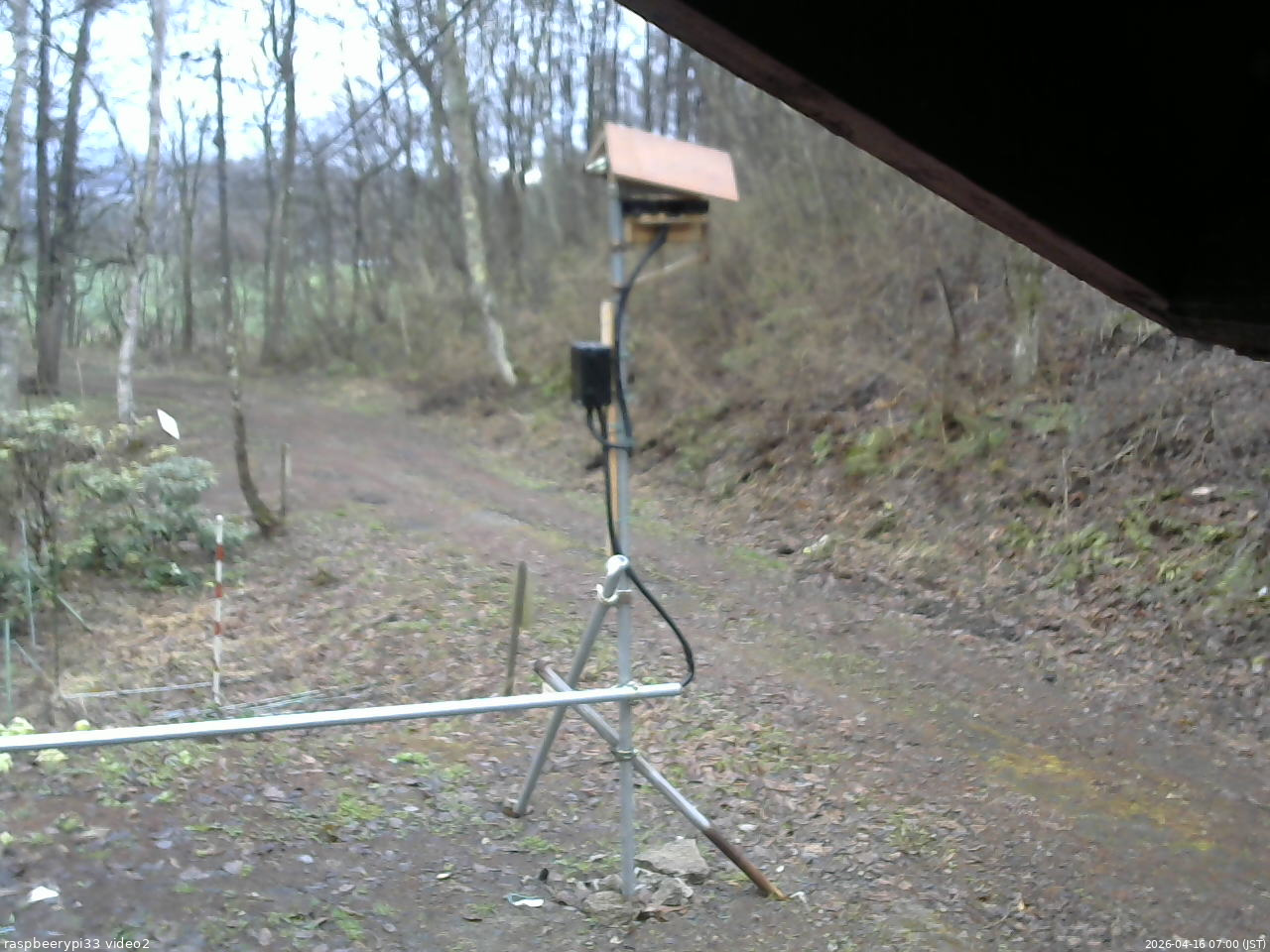 長野県菅平高原 ゆたか山荘 南側 2026/04/16 07:00