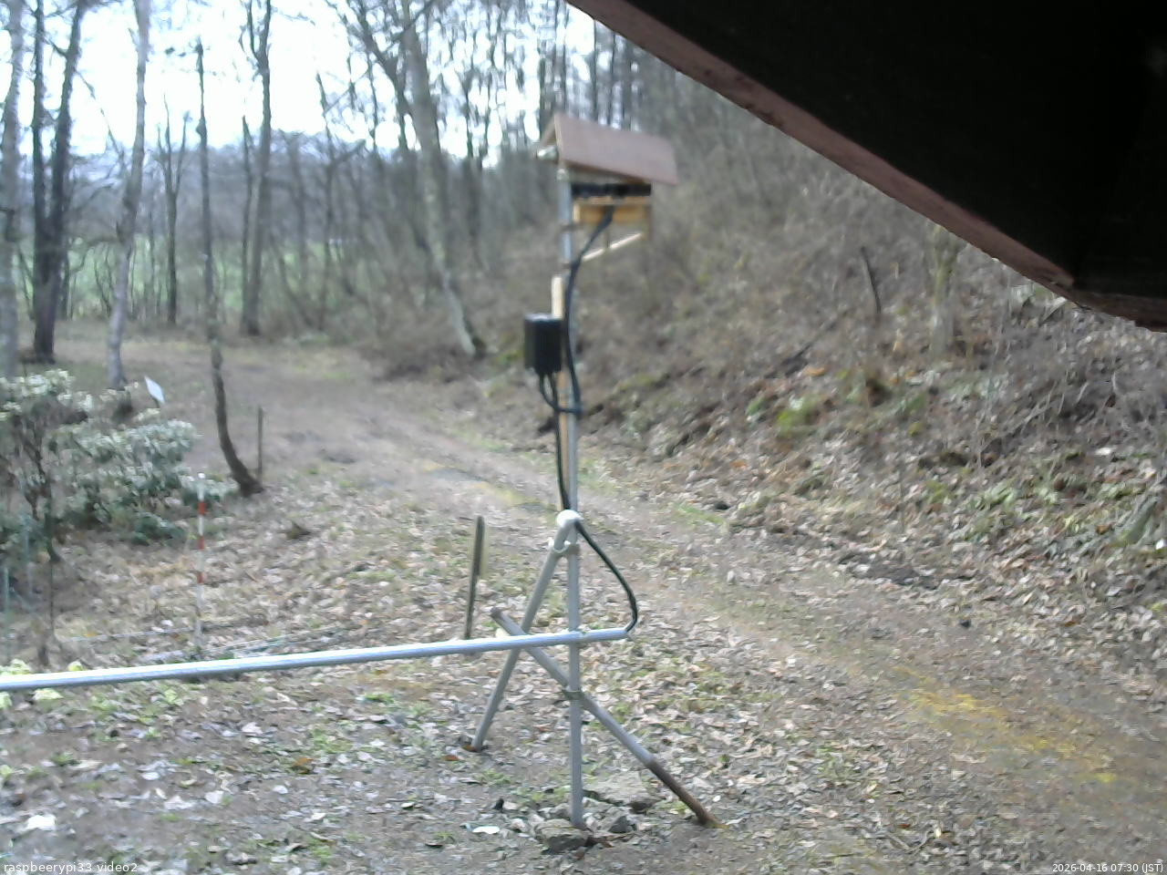 長野県菅平高原 ゆたか山荘 南側 2026/04/16 07:30