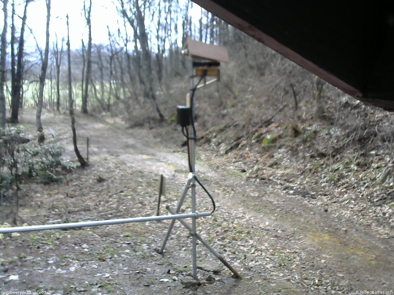 長野県菅平高原 ゆたか山荘 南側 2026/04/16 07:45