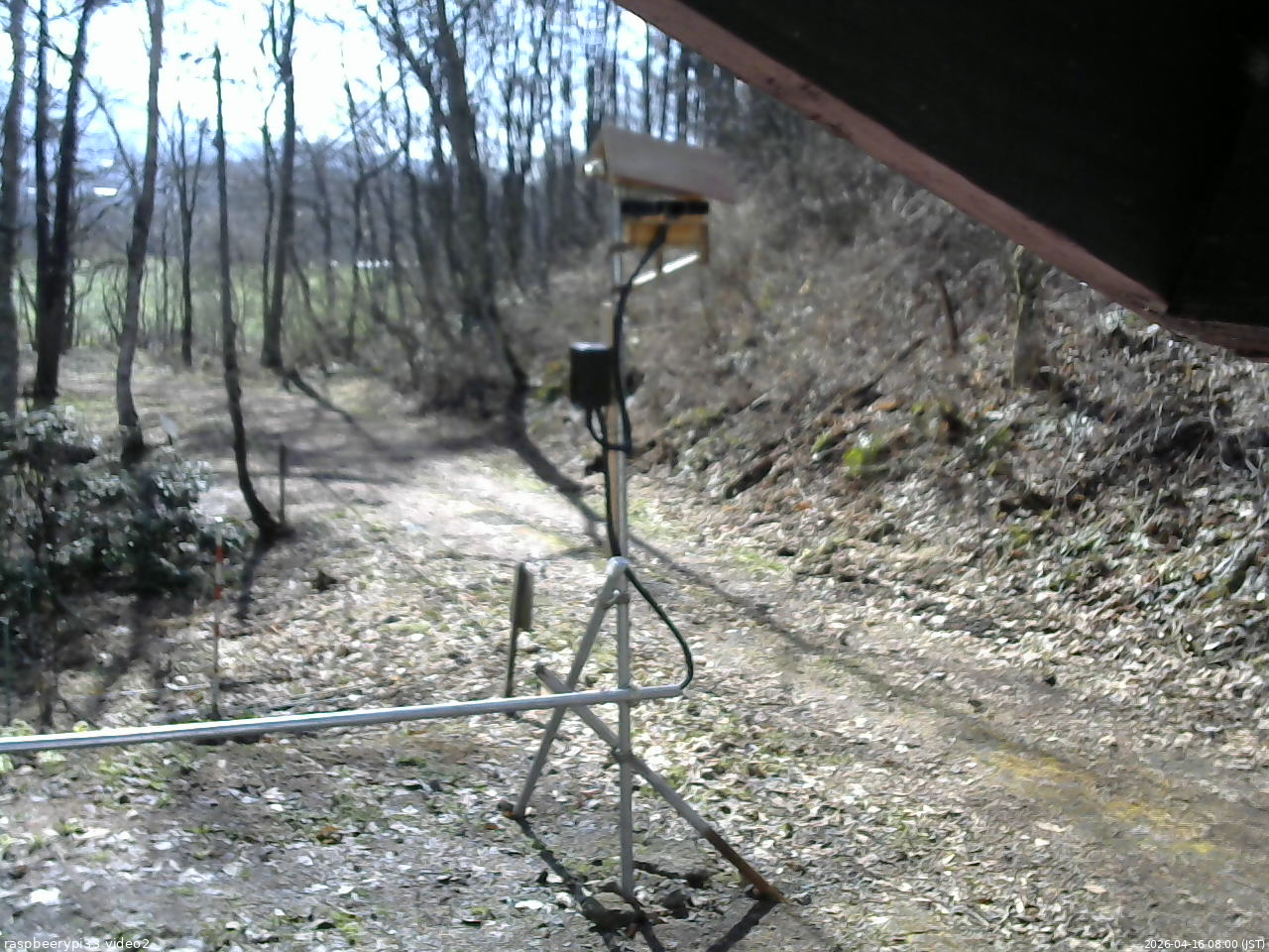長野県菅平高原 ゆたか山荘 南側 2026/04/16 08:00