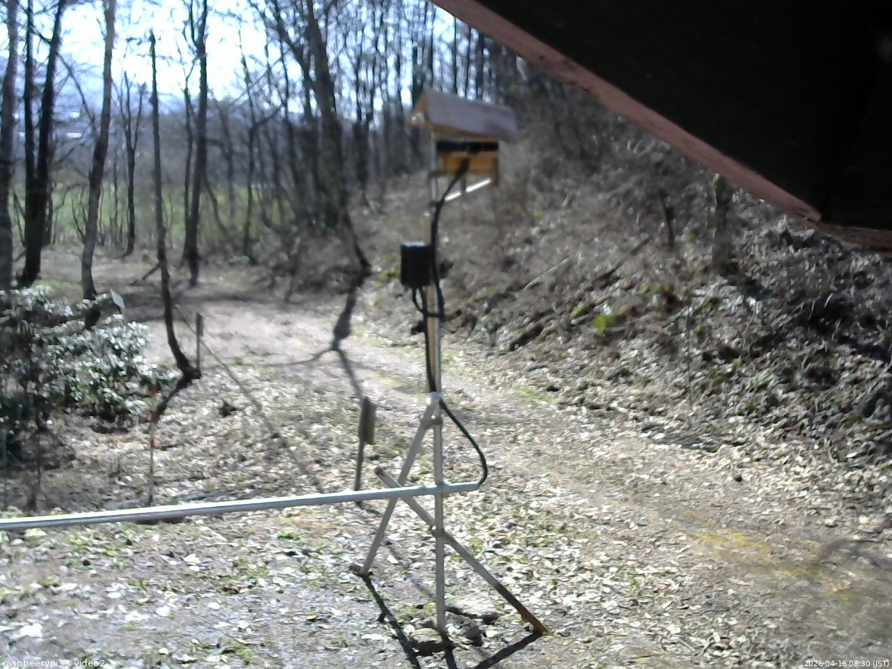 長野県菅平高原 ゆたか山荘 南側 2026/04/16 08:30