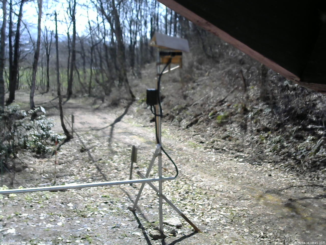 長野県菅平高原 ゆたか山荘 南側 2026/04/16 08:45