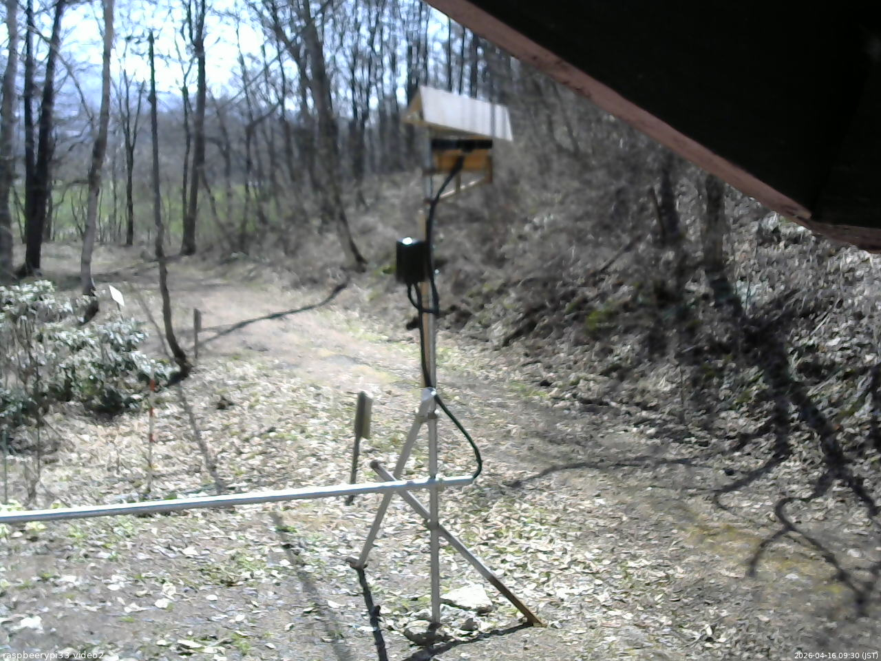 長野県菅平高原 ゆたか山荘 南側 2026/04/16 09:30