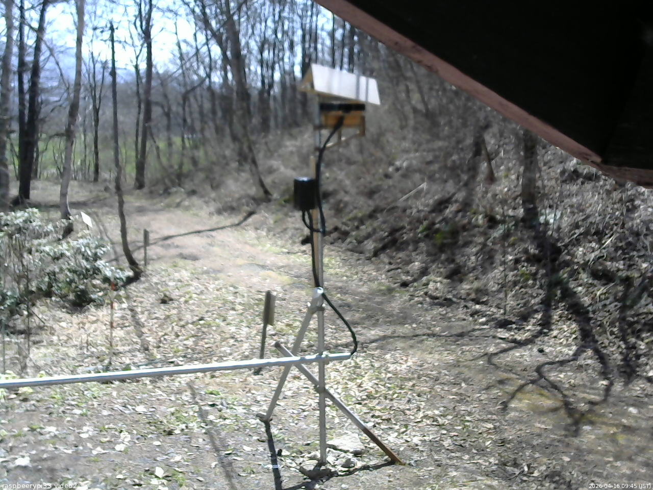 長野県菅平高原 ゆたか山荘 南側 2026/04/16 09:45