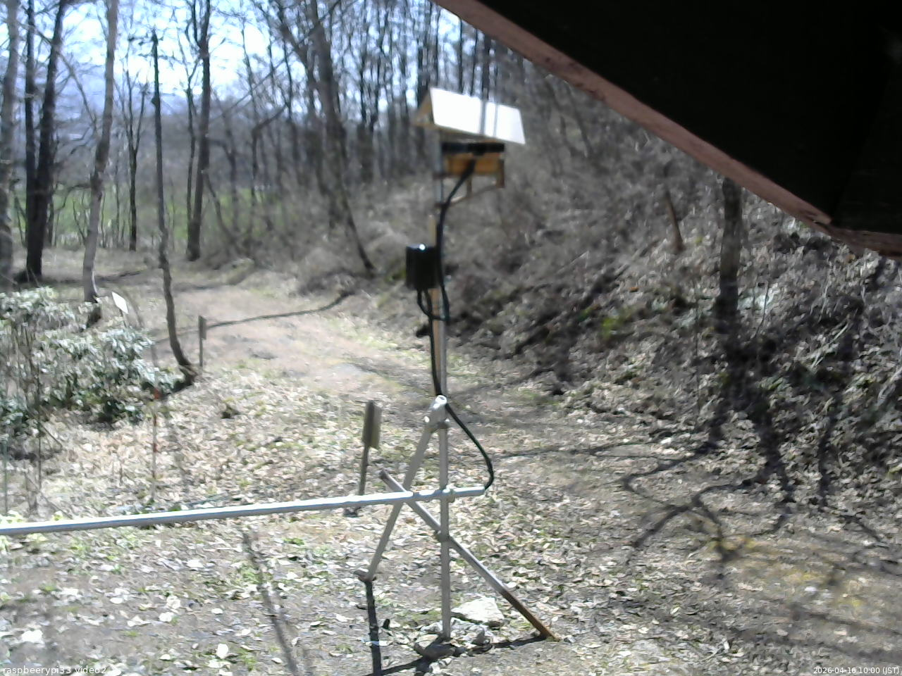 長野県菅平高原 ゆたか山荘 南側 2026/04/16 10:00