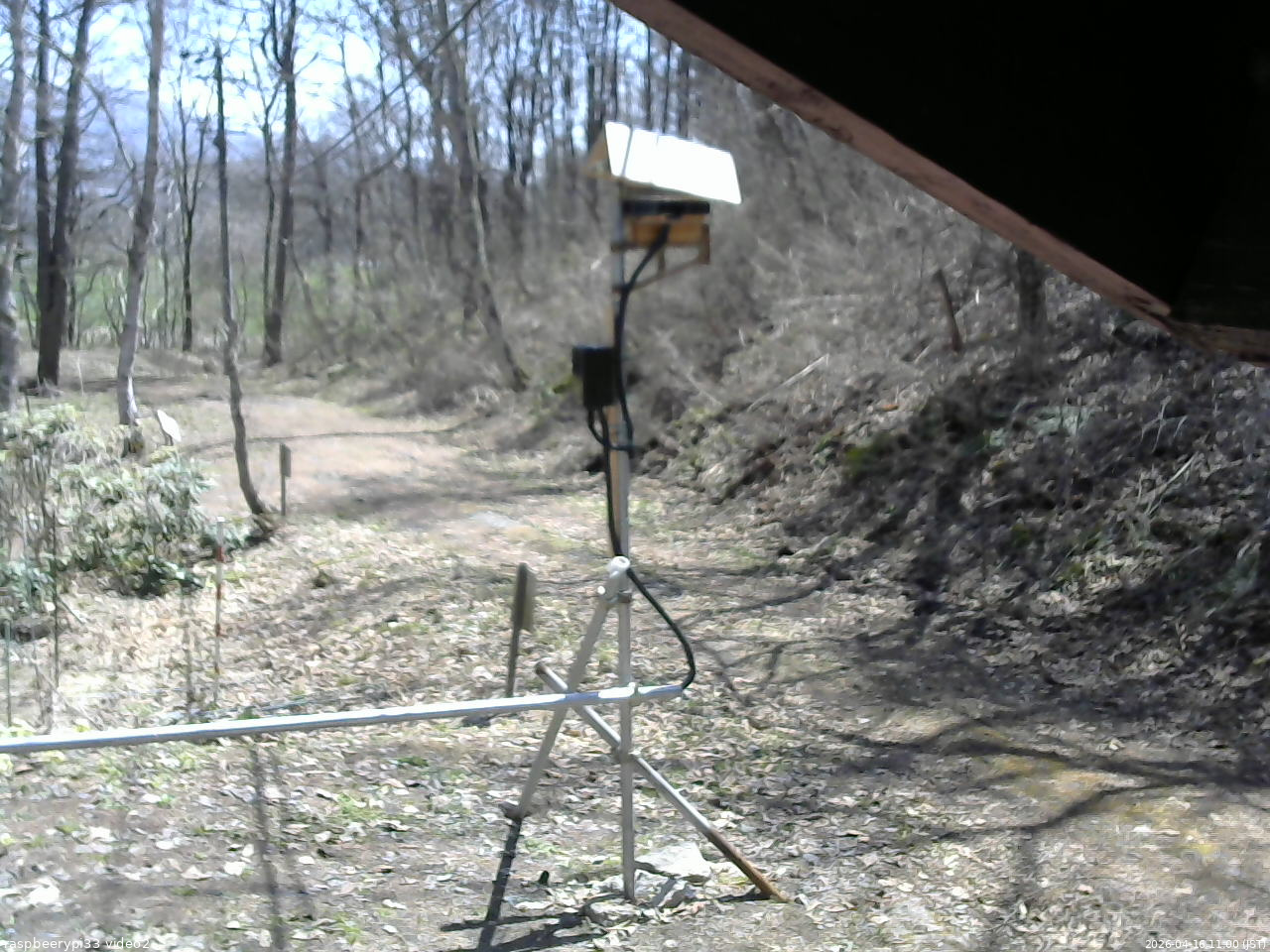 長野県菅平高原 ゆたか山荘 南側 2026/04/16 11:00