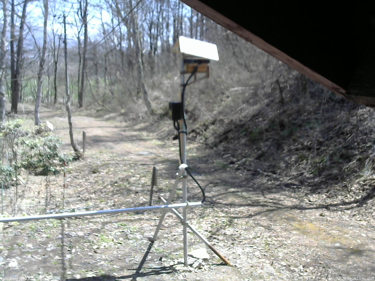 長野県菅平高原 ゆたか山荘 南側 2026/04/16 11:30