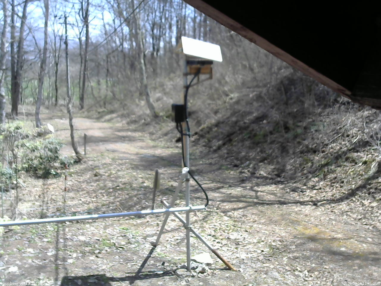 長野県菅平高原 ゆたか山荘 南側 2026/04/16 11:45