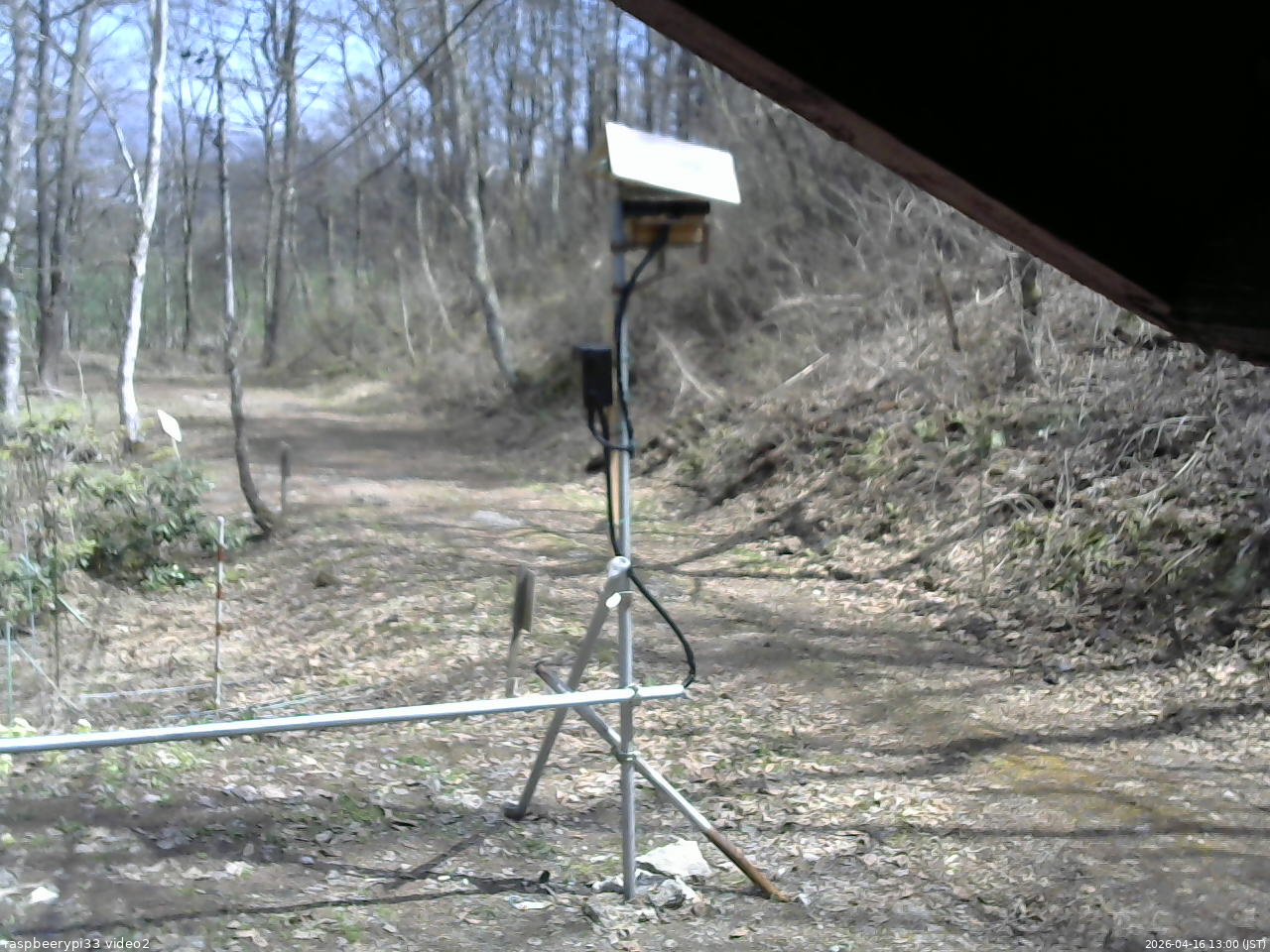 長野県菅平高原 ゆたか山荘 南側 2026/04/16 13:00