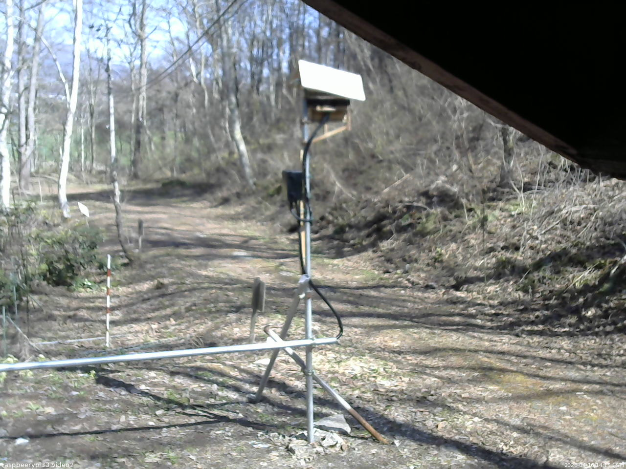 長野県菅平高原 ゆたか山荘 南側 2026/04/16 14:15