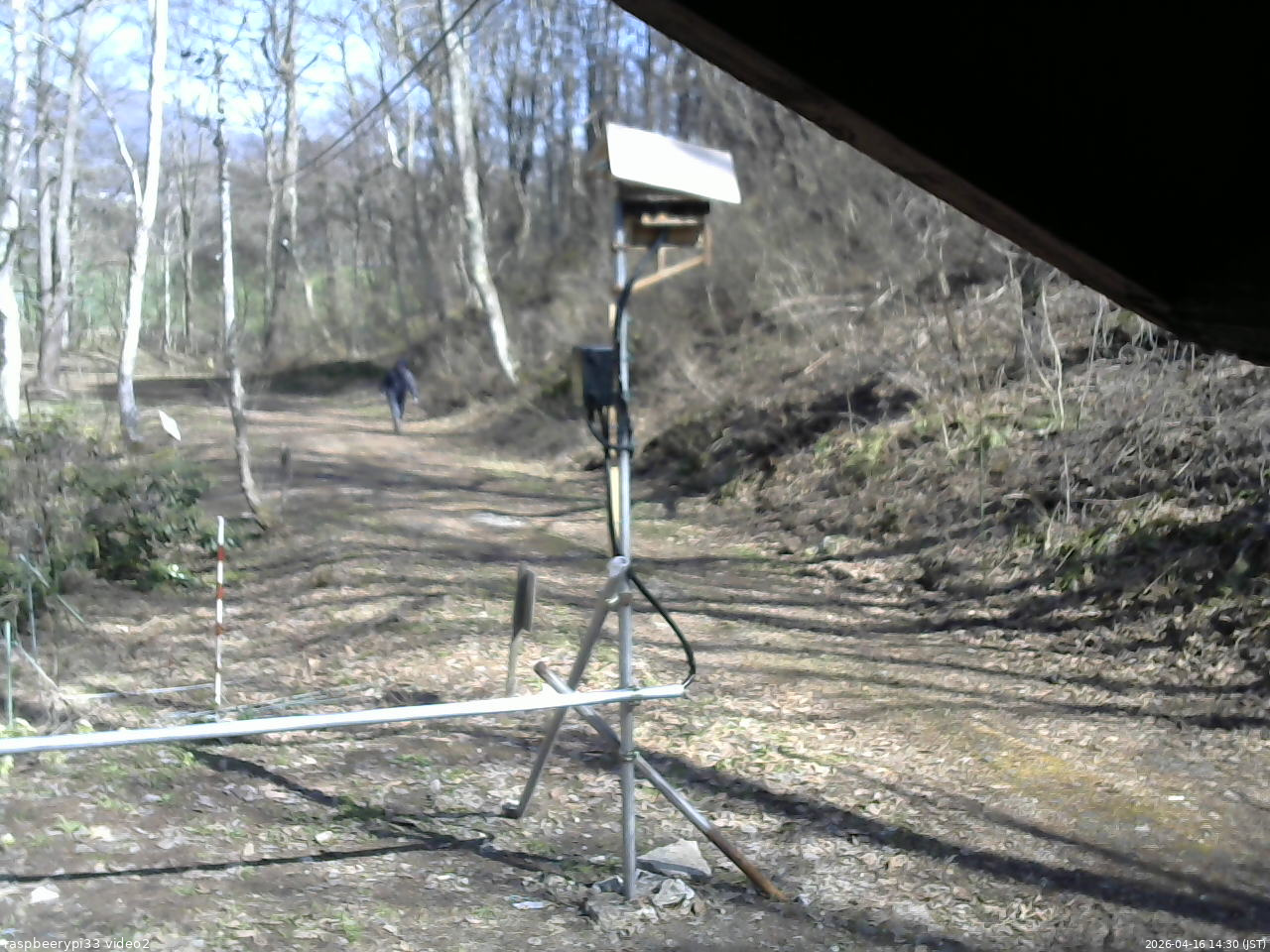 長野県菅平高原 ゆたか山荘 南側 2026/04/16 14:30