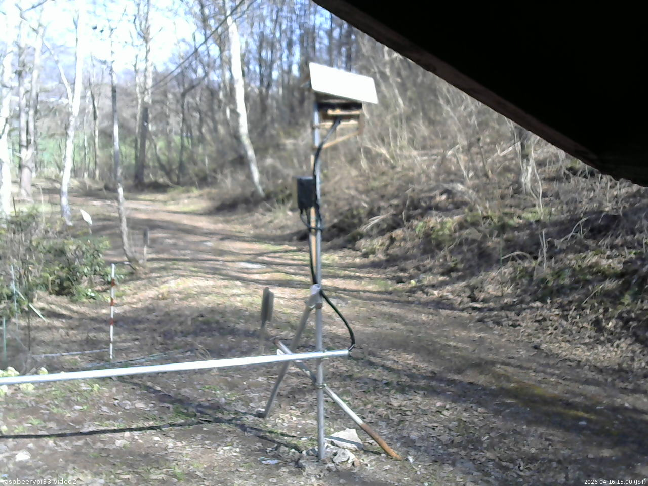 長野県菅平高原 ゆたか山荘 南側 2026/04/16 15:00