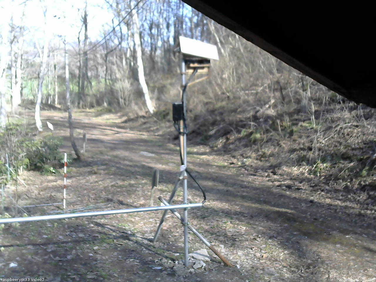 長野県菅平高原 ゆたか山荘 南側 2026/04/16 15:30