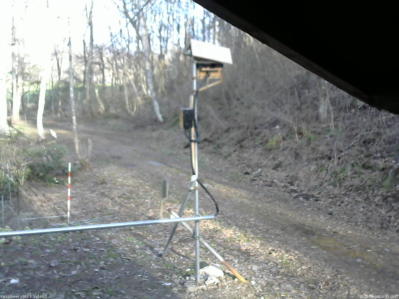 長野県菅平高原 ゆたか山荘 南側 2026/04/16 16:45