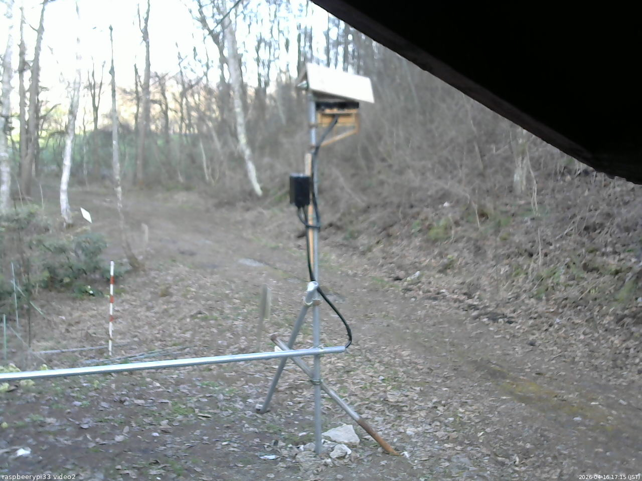 長野県菅平高原 ゆたか山荘 南側 2026/04/16 17:15
