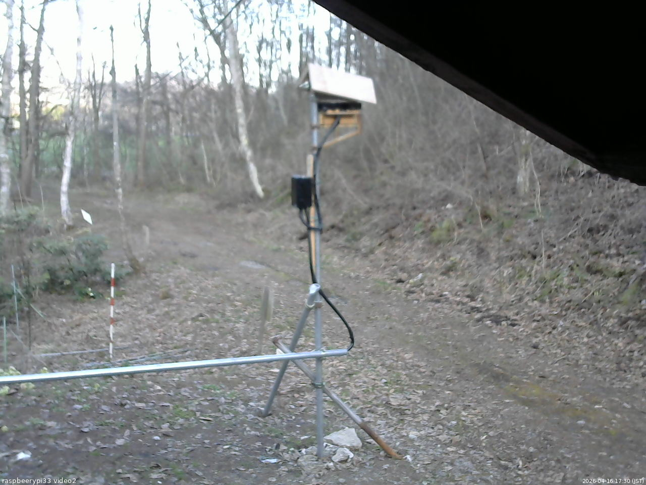 長野県菅平高原 ゆたか山荘 南側 2026/04/16 17:30