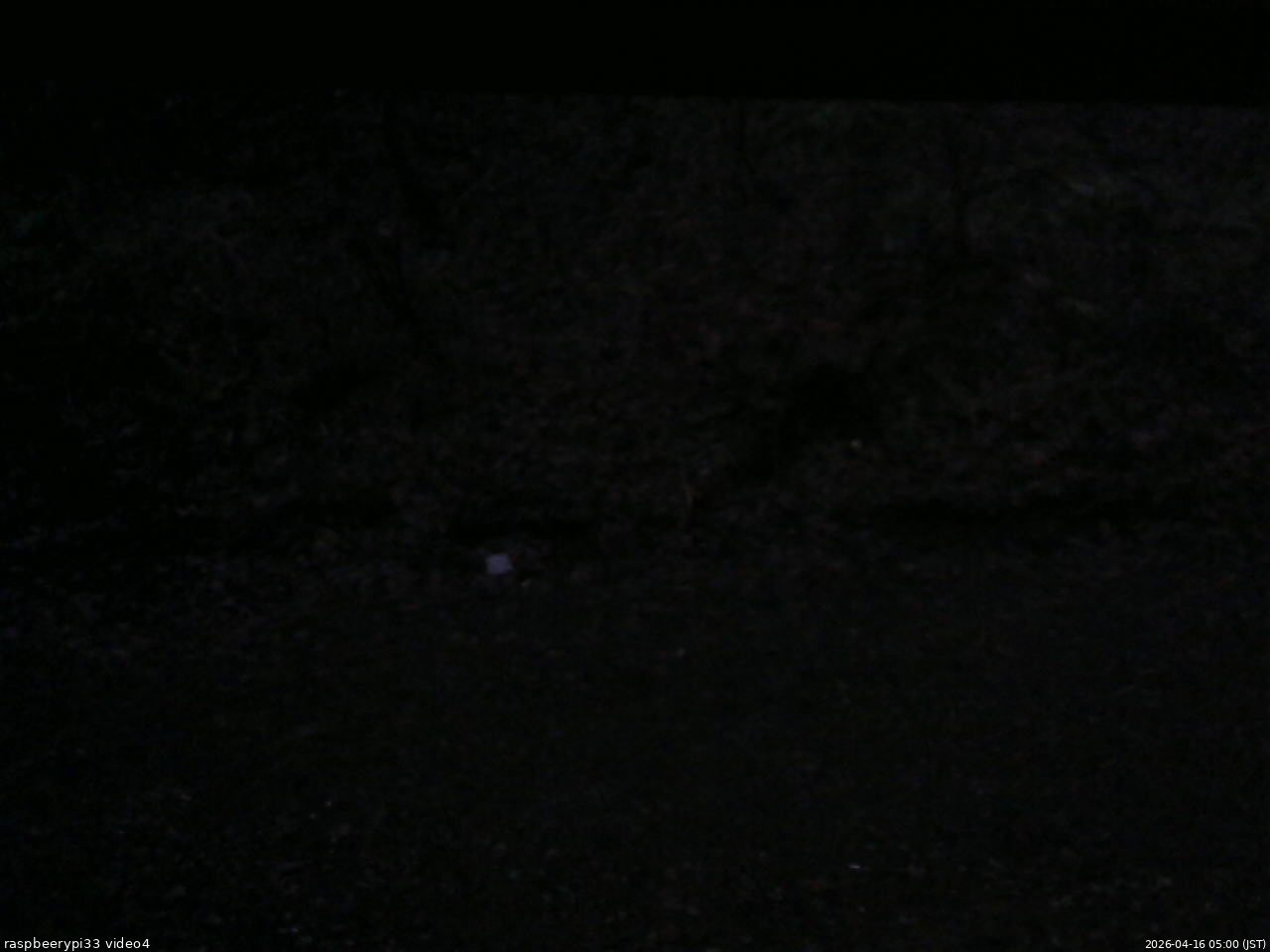 長野県菅平高原 ゆたか山荘 東側(坂下) 2026/04/16 05:00