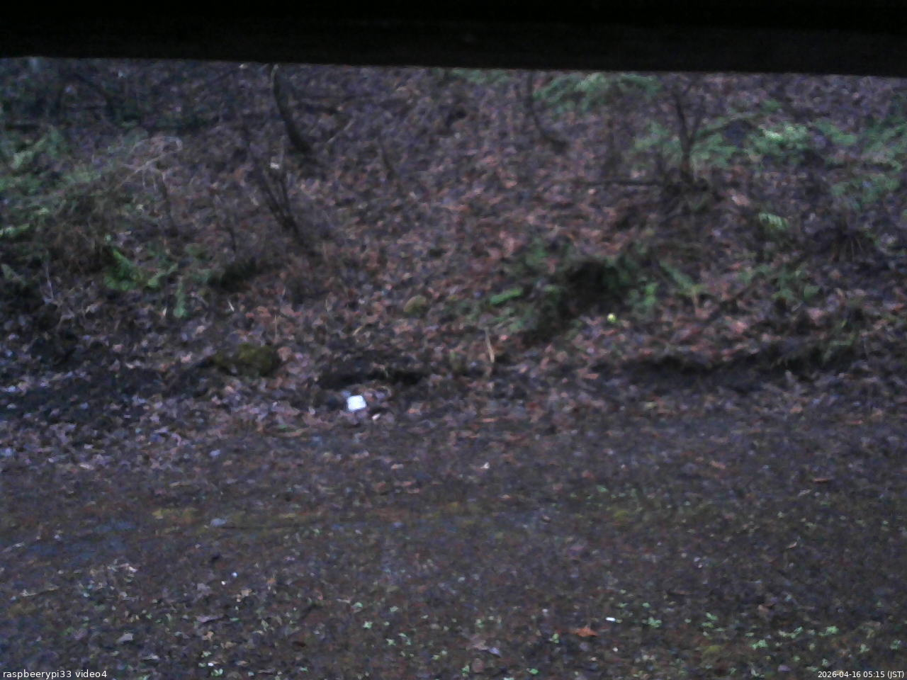 長野県菅平高原 ゆたか山荘 東側(坂下) 2026/04/16 05:15