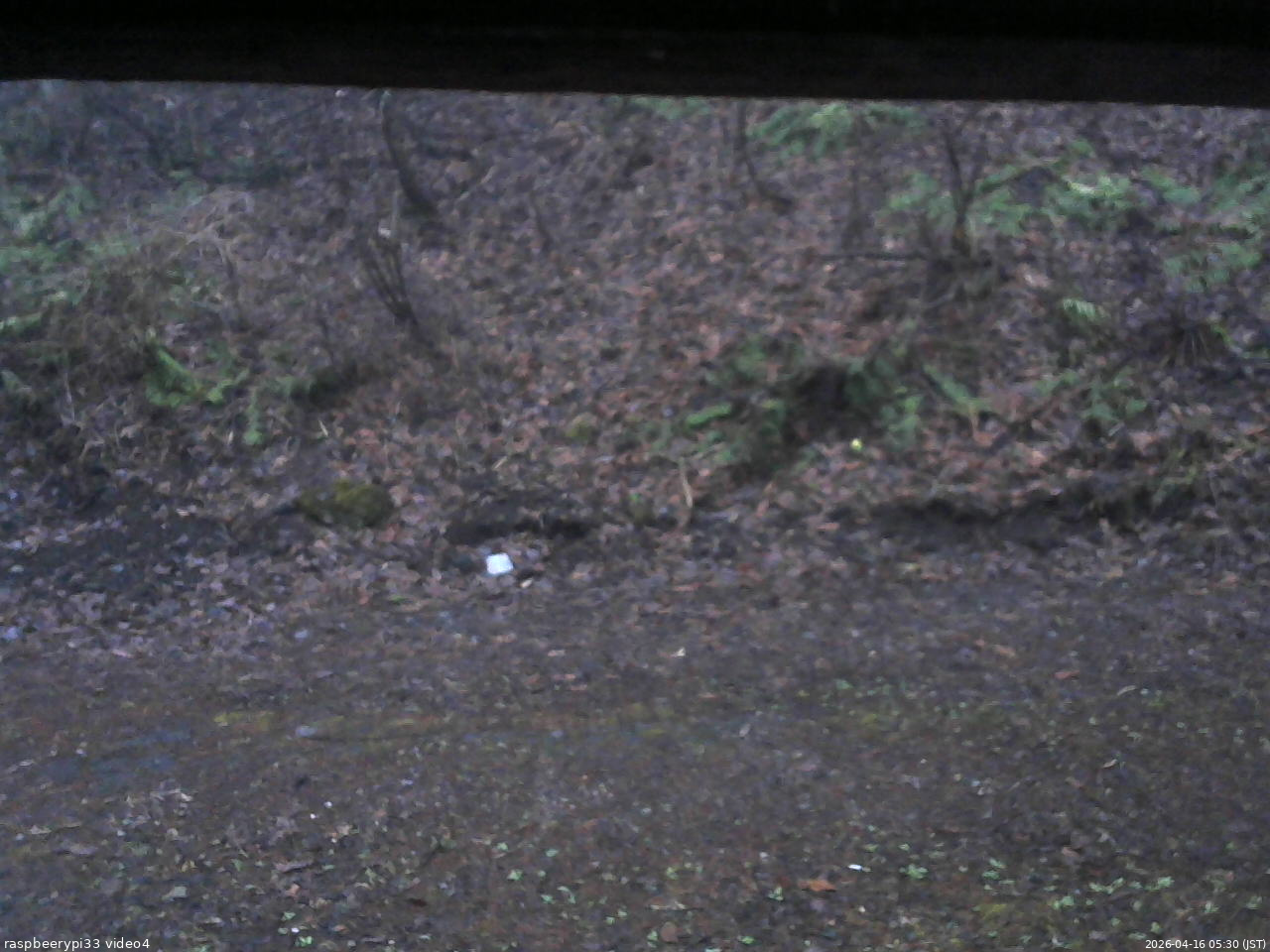 長野県菅平高原 ゆたか山荘 東側(坂下) 2026/04/16 05:30