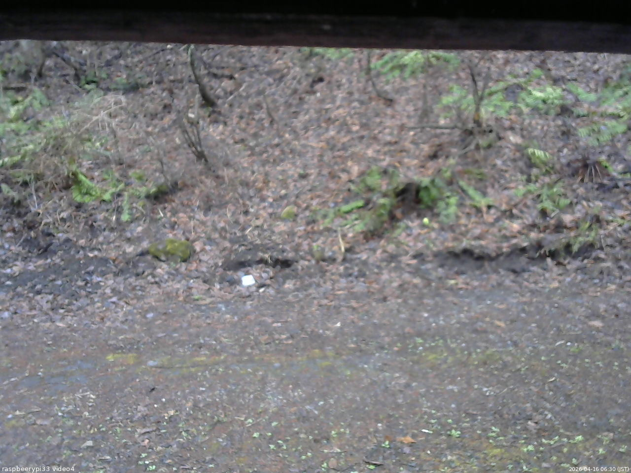 長野県菅平高原 ゆたか山荘 東側(坂下) 2026/04/16 06:30