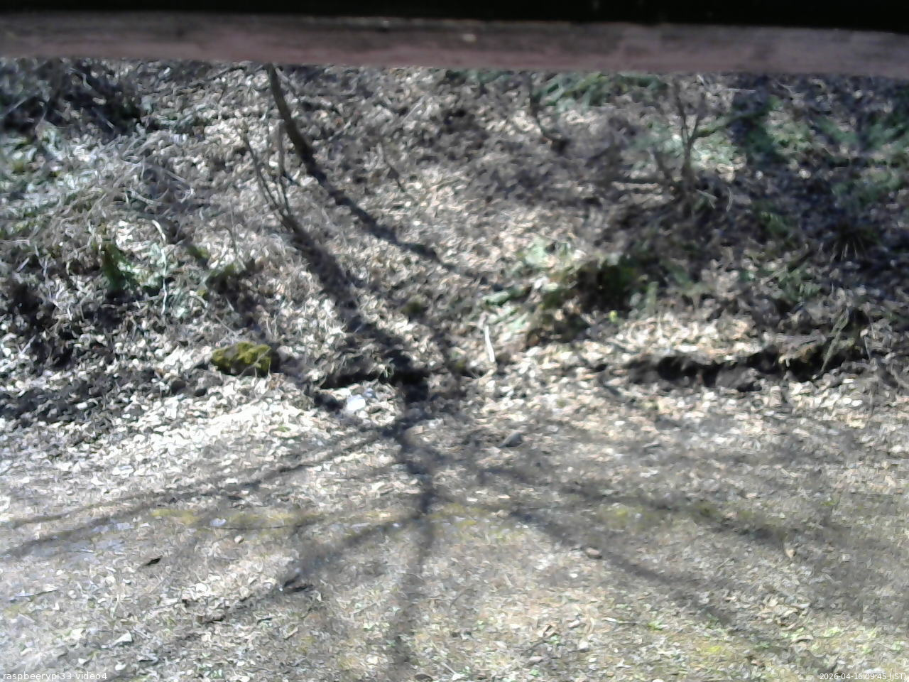 長野県菅平高原 ゆたか山荘 東側(坂下) 2026/04/16 09:45