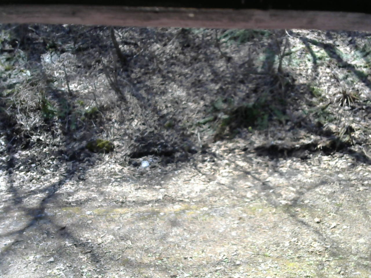 長野県菅平高原 ゆたか山荘 東側(坂下) 2026/04/16 10:15