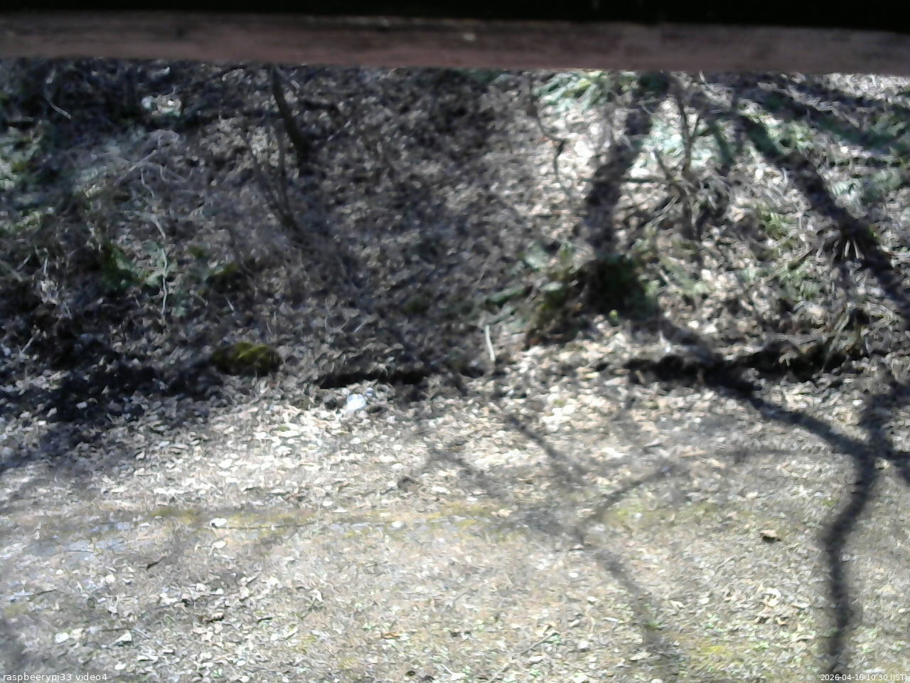 長野県菅平高原 ゆたか山荘 東側(坂下) 2026/04/16 10:30