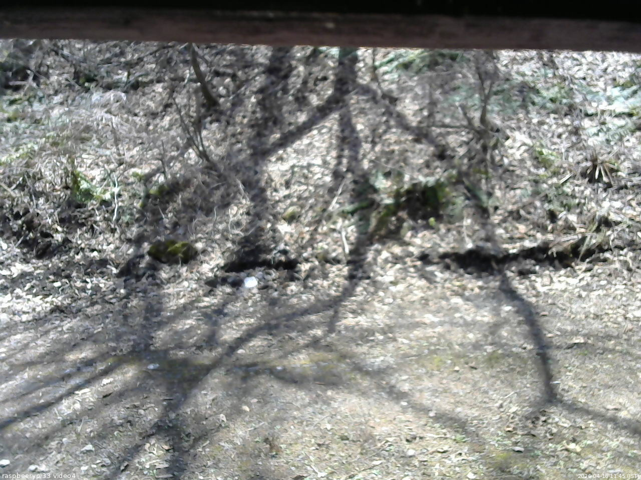 長野県菅平高原 ゆたか山荘 東側(坂下) 2026/04/16 11:45